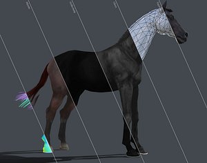 3 Horse animation PBR Low-poly 3D model