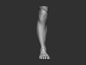 human foot