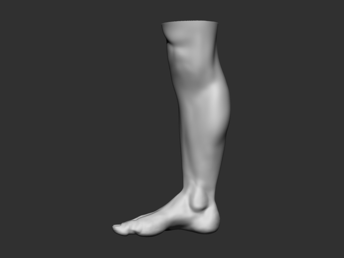 Foot Man Human 3D Model - TurboSquid 1306039