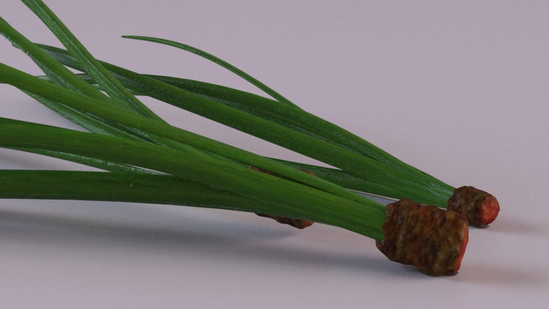 cedar needles pine model https://p.turbosquid.com/ts-thumb/3H/fM2QTF/HlInCJ16/3/jpg/1600751688/1920x1080/fit_q87/5076c83ae7a04bf308a3c753dc267c42a99630d9/3.jpg