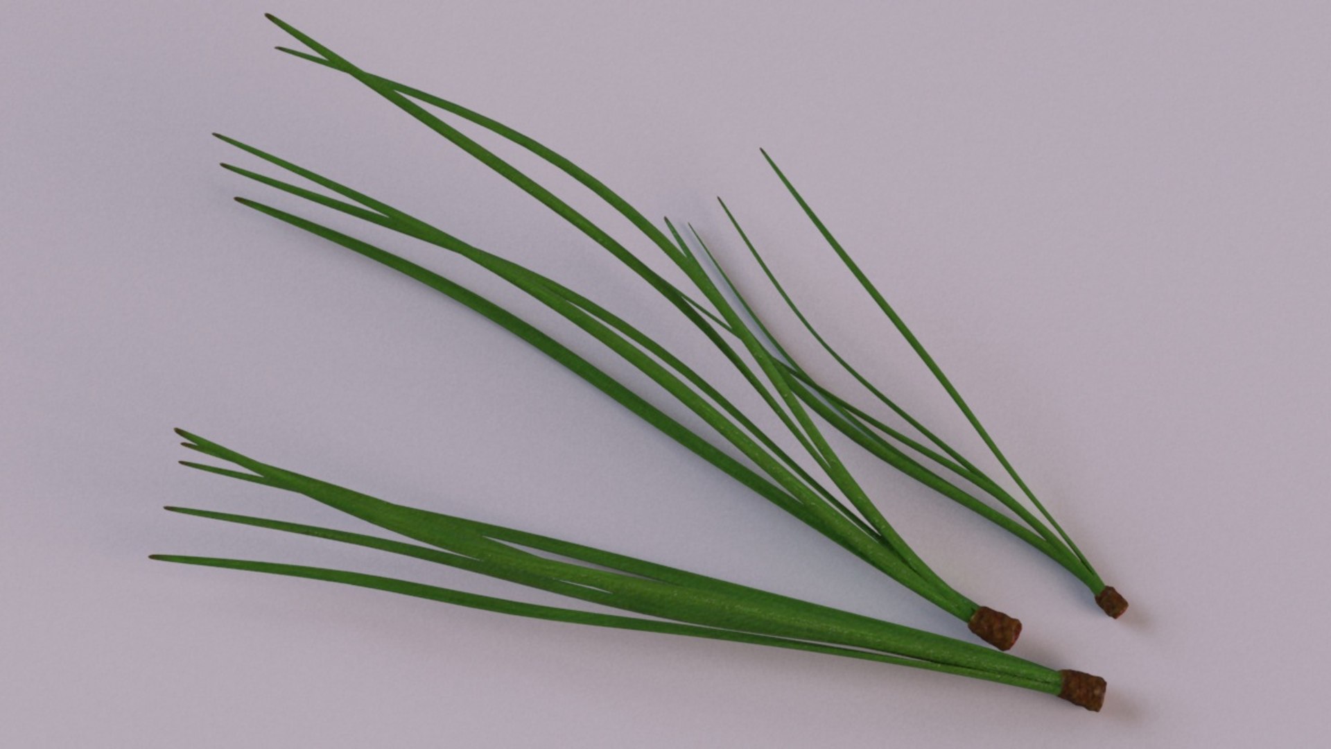 cedar needles pine model https://p.turbosquid.com/ts-thumb/3H/fM2QTF/jWz4RcQ7/2/jpg/1600751688/1920x1080/fit_q87/1ba184453ef426539e848e3eedfa93ef925c7eaf/2.jpg