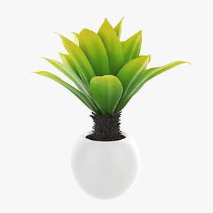 3D palm pot decor model