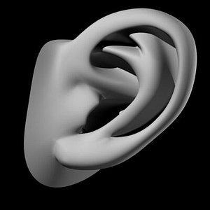 lightwave subpatches ear