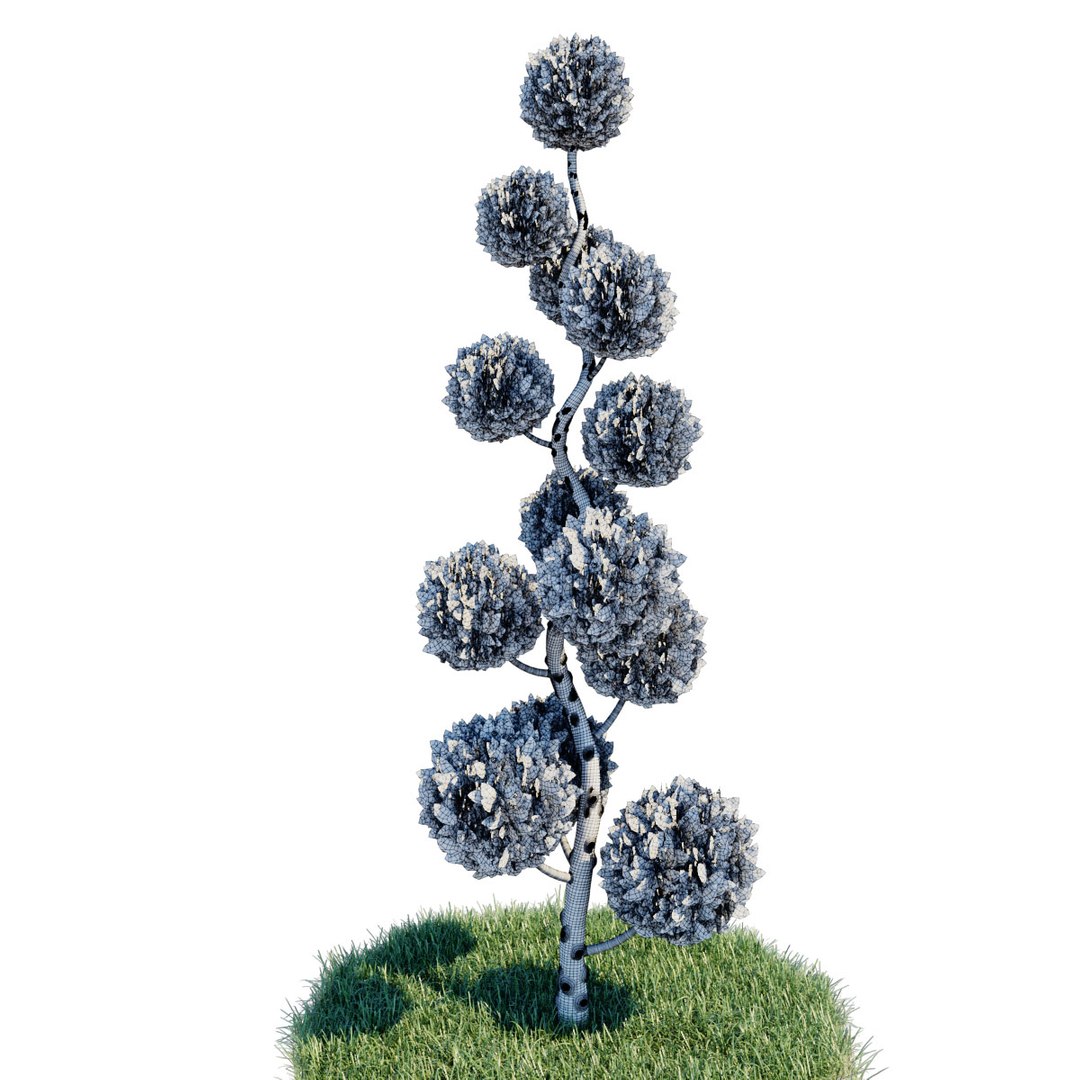 cupressus arizonica pon spiral 3D https://p.turbosquid.com/ts-thumb/3I/GlVckm/FzUWn6yN/6/jpg/1576584430/1920x1080/fit_q87/342001b7c9239d024d4d262c3ac5ffeec97e4b89/6.jpg