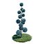 Cypress - Cupressus Arizonica Pon Pon Spiral