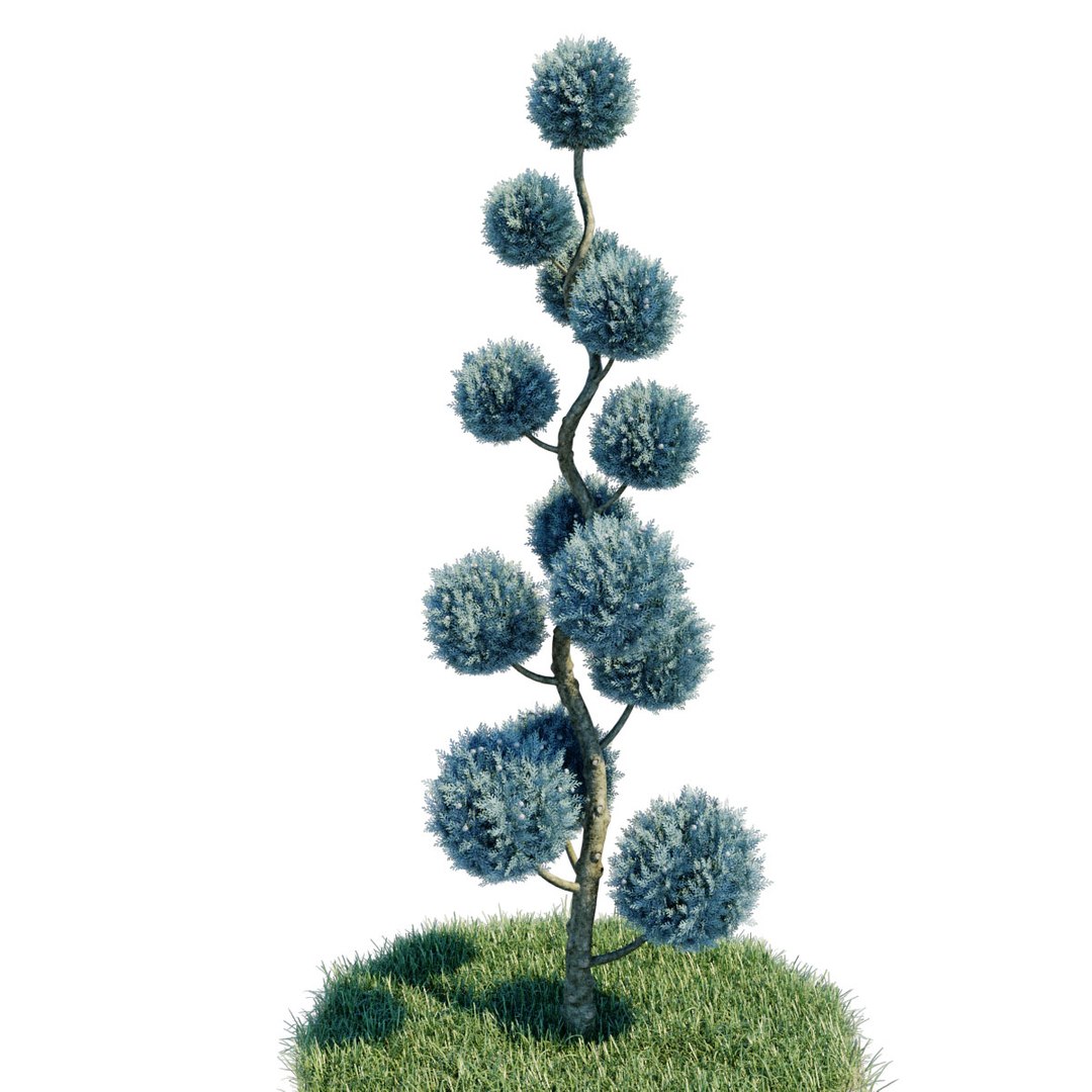 cupressus arizonica pon spiral 3D https://p.turbosquid.com/ts-thumb/3I/GlVckm/YBS3w4bg/5/jpg/1576584430/1920x1080/fit_q87/7b4f19adde3362967a78208ba24d6ace0b5075ba/5.jpg