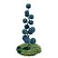 Cypress - Cupressus Arizonica Pon Pon Spiral