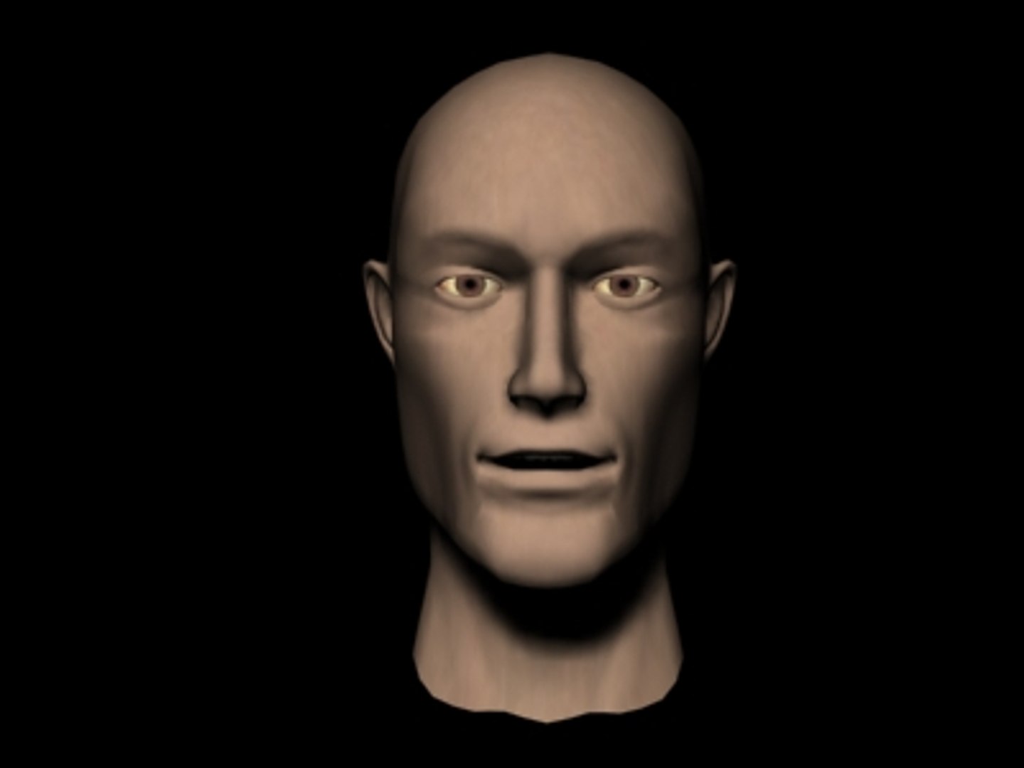 3d Man Head Model