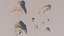 Rock Scatter(1)