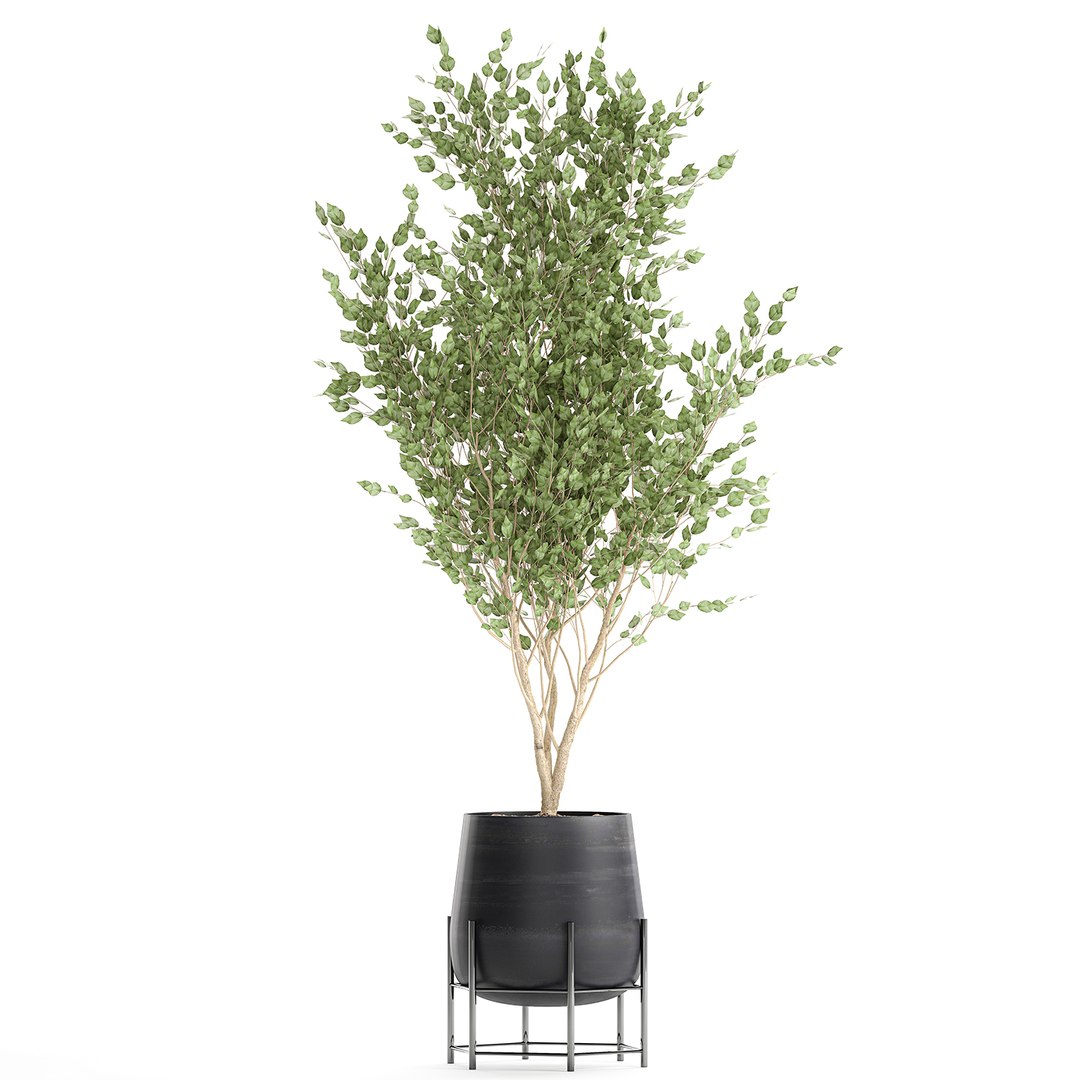 Decorative Trees Interior Black 3D Model - TurboSquid 1619085