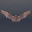 3D bat vfx cinematic - TurboSquid 1339293