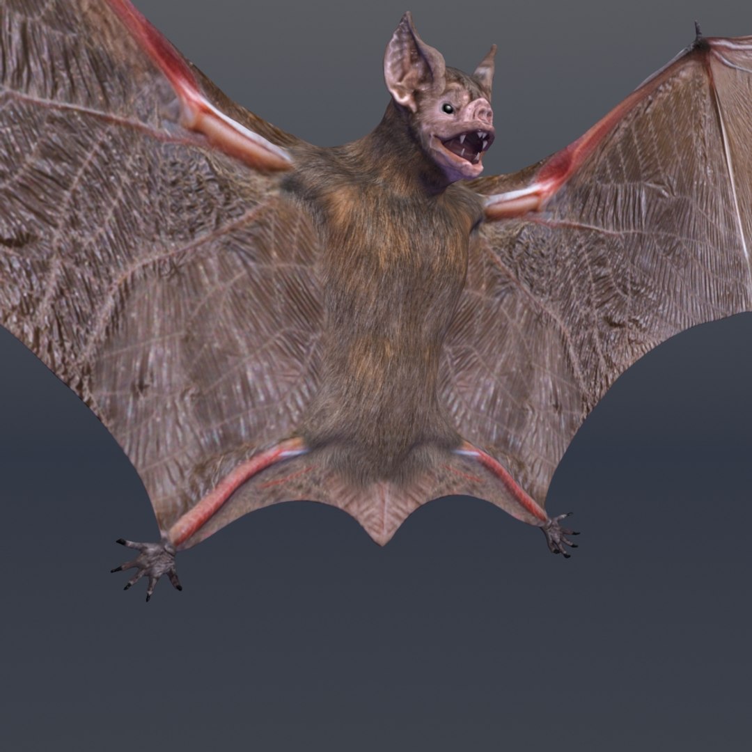 3D Bat Vfx Cinematic - TurboSquid 1339293