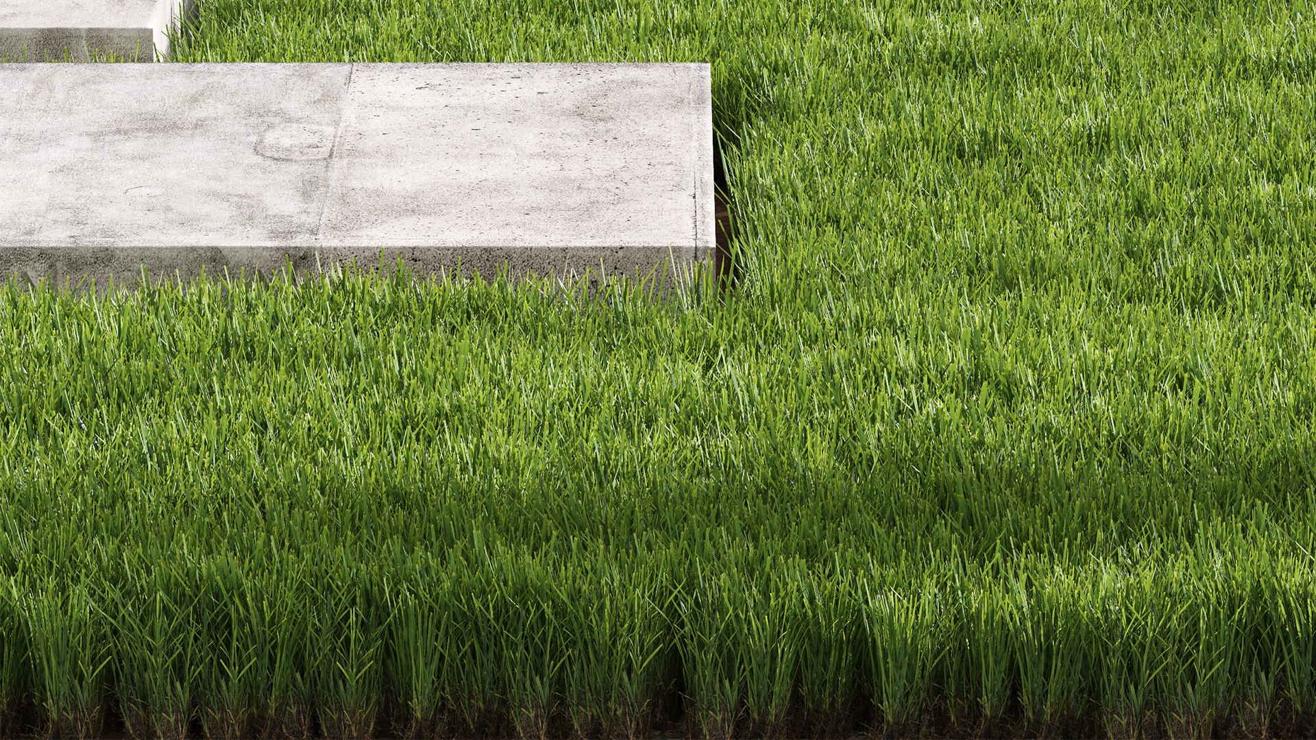 3D Model Decorative Floor Grass - TurboSquid 2242813
