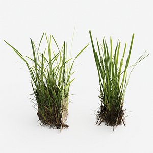 3D model Decorative Floor Grass