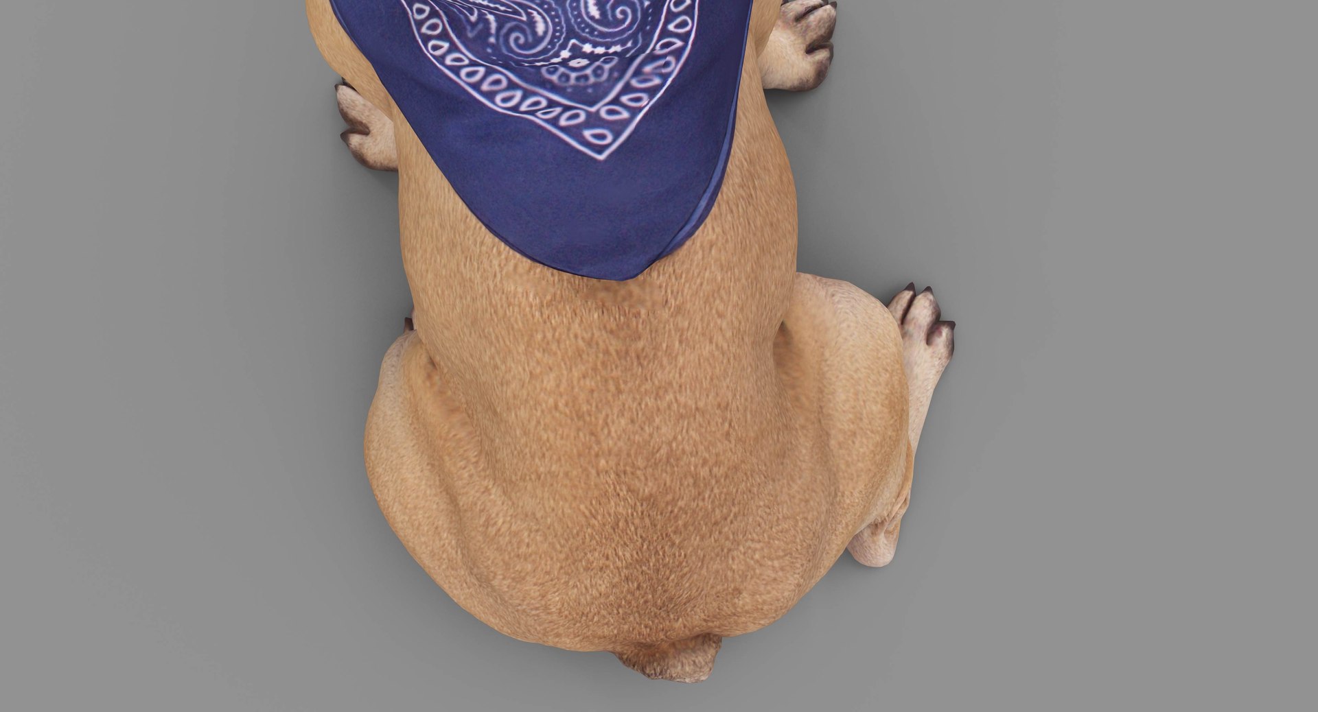 french bulldog sitting 3D https://p.turbosquid.com/ts-thumb/3I/iipwPs/BpukDSkc/100011/jpg/1539675176/1920x1080/fit_q87/6d0c86de5515cef170a145cd27b69fb1d1a778bf/100011.jpg