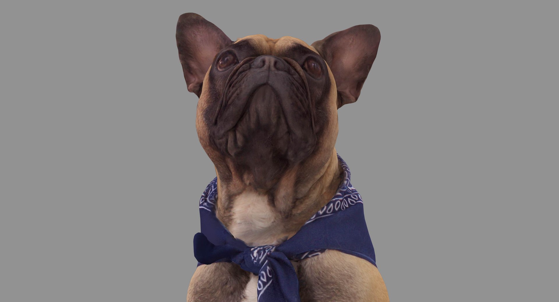french bulldog sitting 3D https://p.turbosquid.com/ts-thumb/3I/iipwPs/NCwNUC2j/100013/jpg/1539675176/1920x1080/fit_q87/76104b2965f7a8098b0c4de3ba377054b302c13c/100013.jpg
