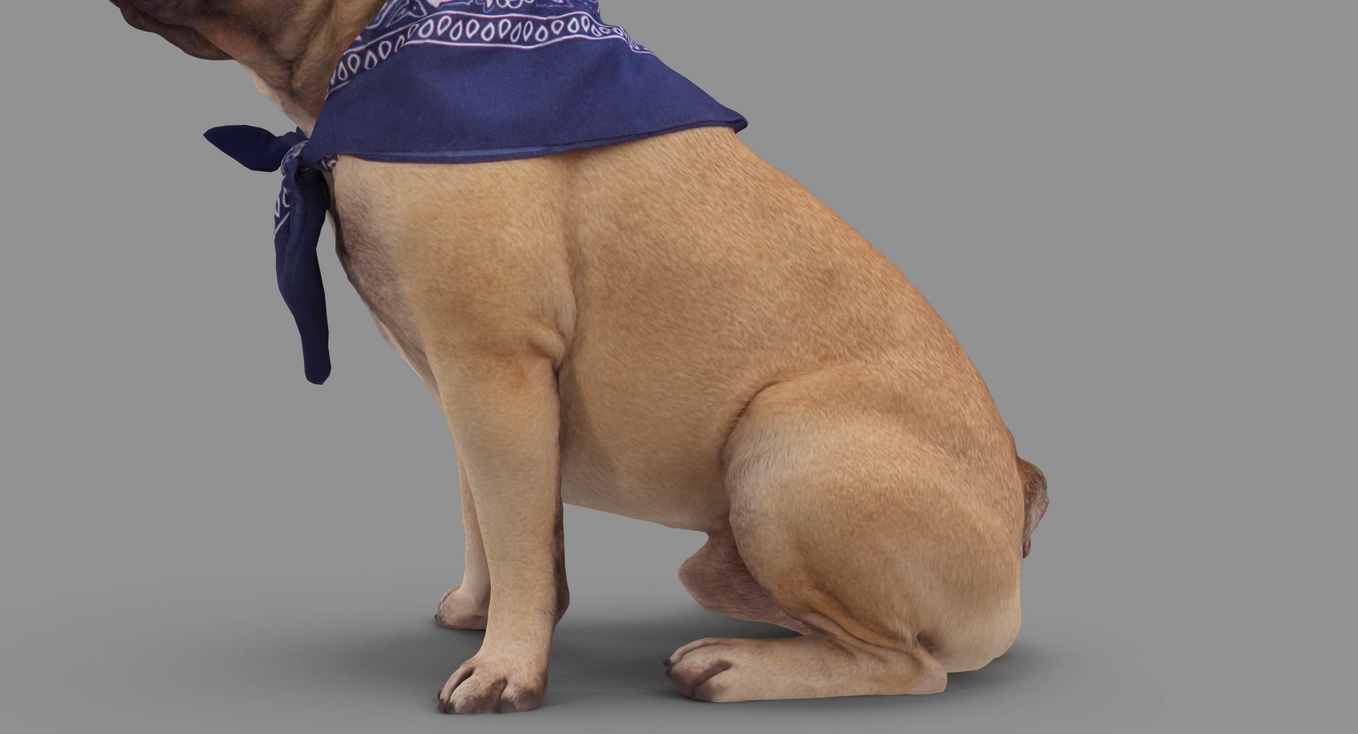 french bulldog sitting 3D https://p.turbosquid.com/ts-thumb/3I/iipwPs/aJHBD5rK/100009/jpg/1539675176/1920x1080/fit_q87/fbd8a72fee9f3861d5ff8f67dbcce84033d991d4/100009.jpg