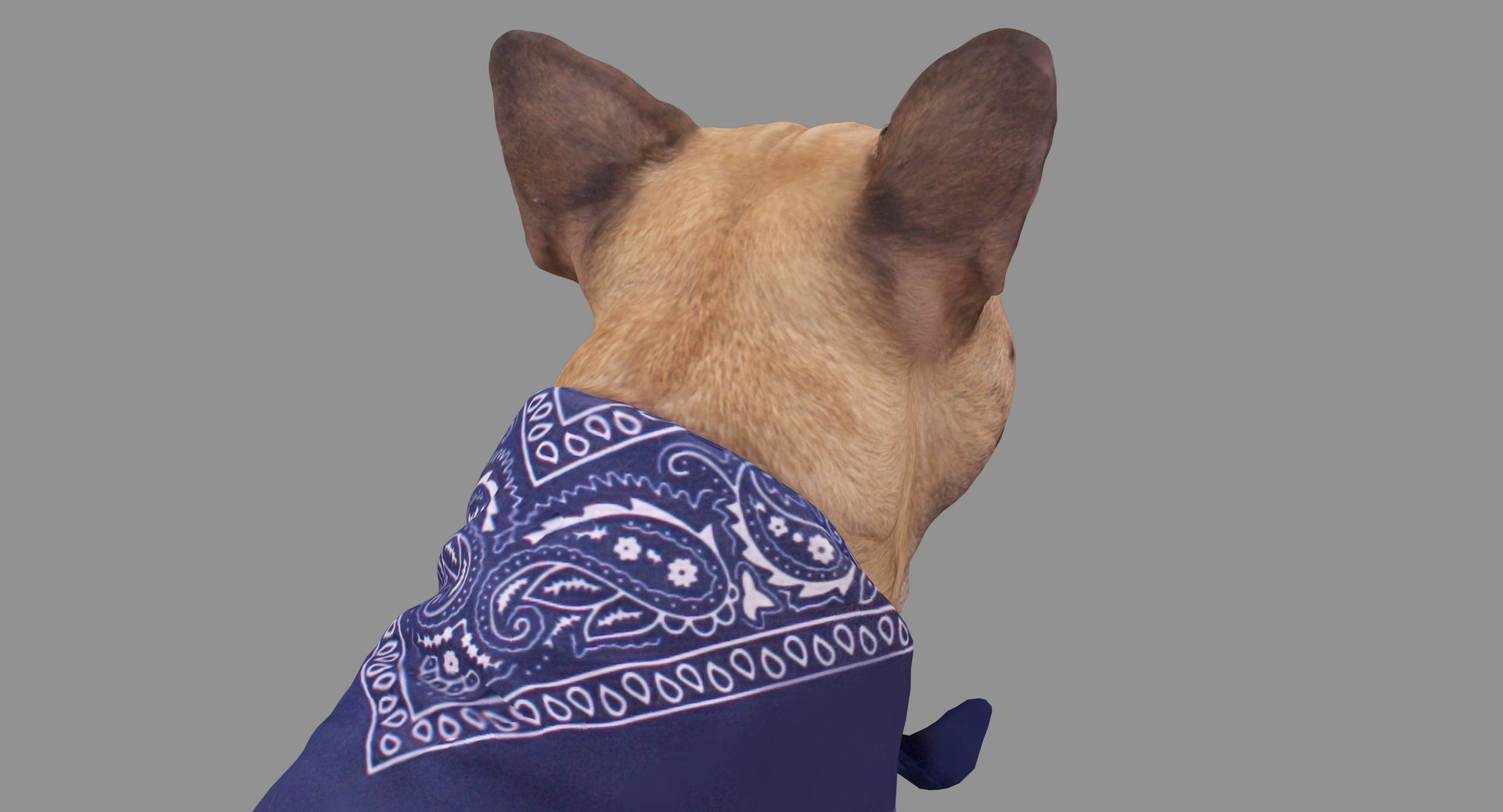 french bulldog sitting 3D https://p.turbosquid.com/ts-thumb/3I/iipwPs/j8g61oqZ/100005/jpg/1539675176/1920x1080/fit_q87/2576dbb2e754844b748356fc8338501cb8bd2001/100005.jpg