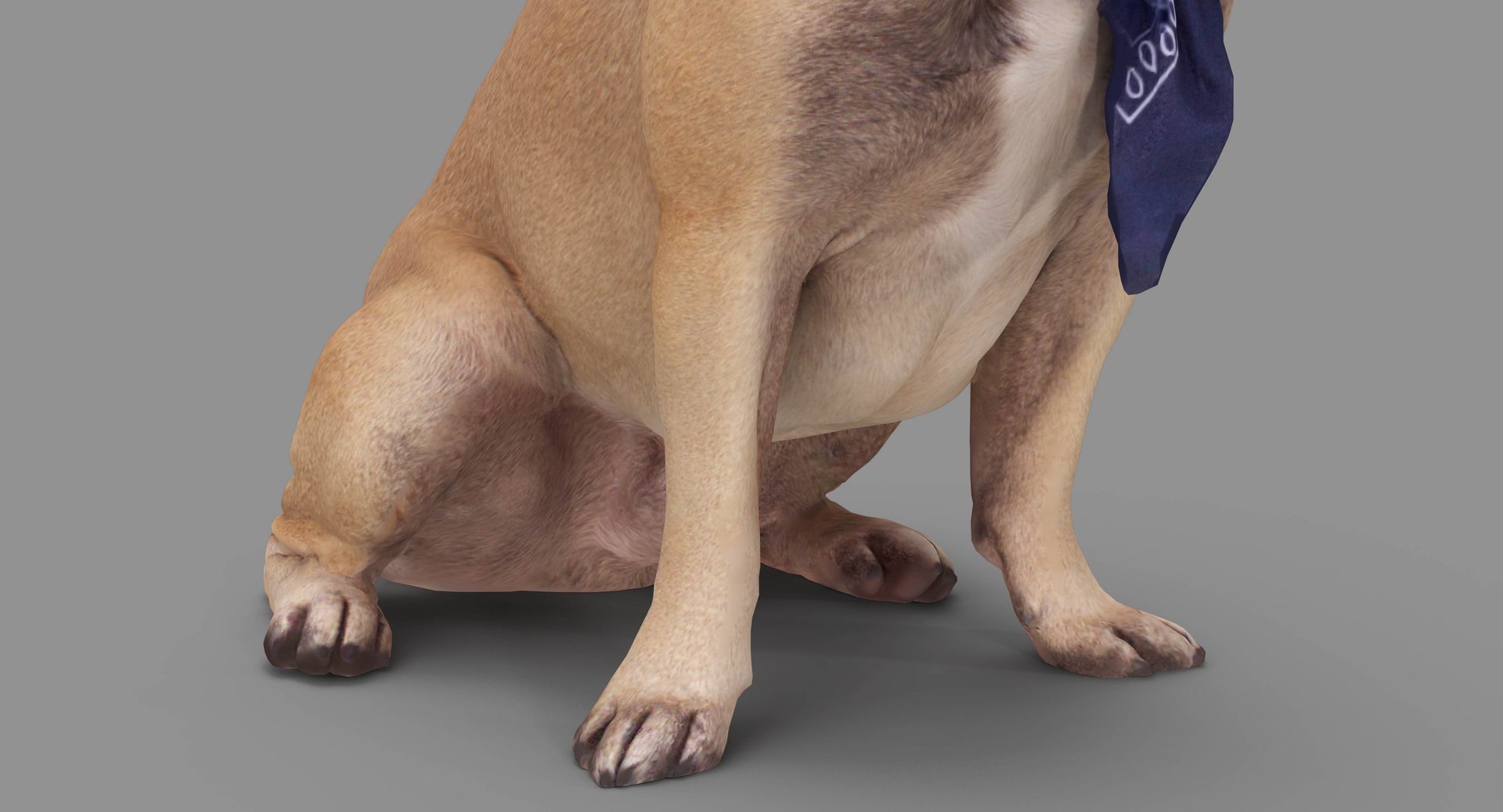 french bulldog sitting 3D https://p.turbosquid.com/ts-thumb/3I/iipwPs/jR2zvnMq/100012/jpg/1539675176/1920x1080/fit_q87/01d48c15f64d06be02931f68f9a742d7cf54c0d5/100012.jpg