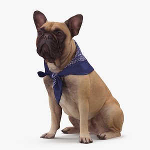 french bulldog sitting 3D