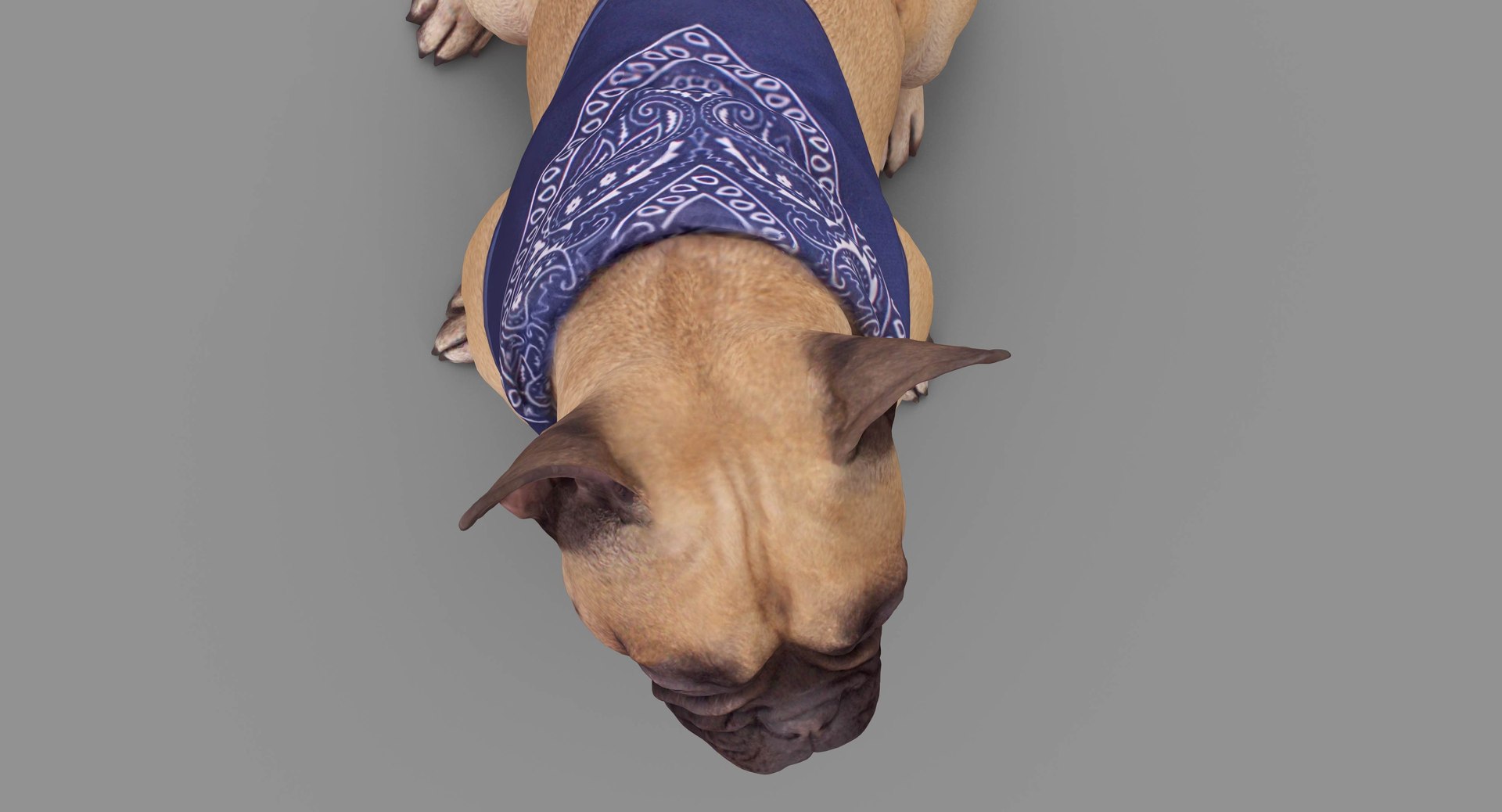 french bulldog sitting 3D https://p.turbosquid.com/ts-thumb/3I/iipwPs/saI4E1za/100010/jpg/1539675176/1920x1080/fit_q87/2026007566380b1ebf12b981ee87b06e13faec84/100010.jpg