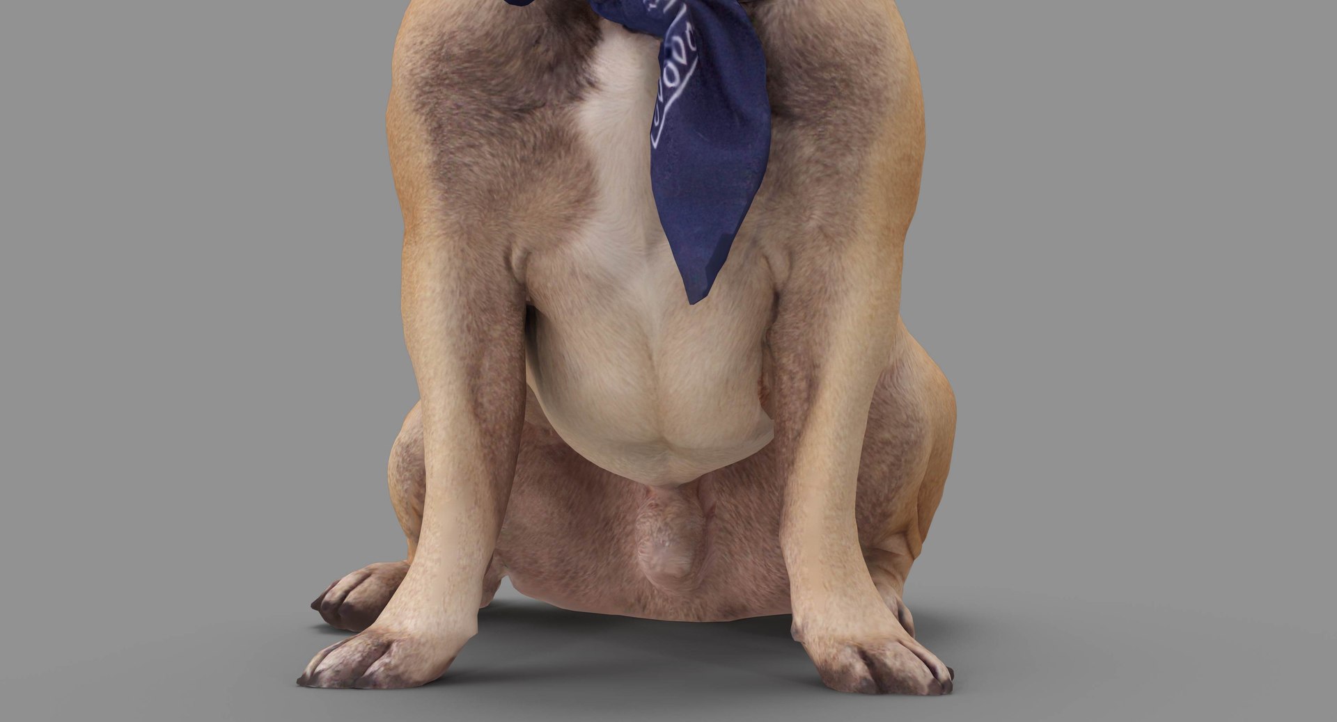 french bulldog sitting 3D https://p.turbosquid.com/ts-thumb/3I/iipwPs/vp8z3vFy/100003/jpg/1539675176/1920x1080/fit_q87/0552ab920805df43755f22ad3c509b324b3ba675/100003.jpg