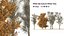 3D 120 Tree Type Collection
