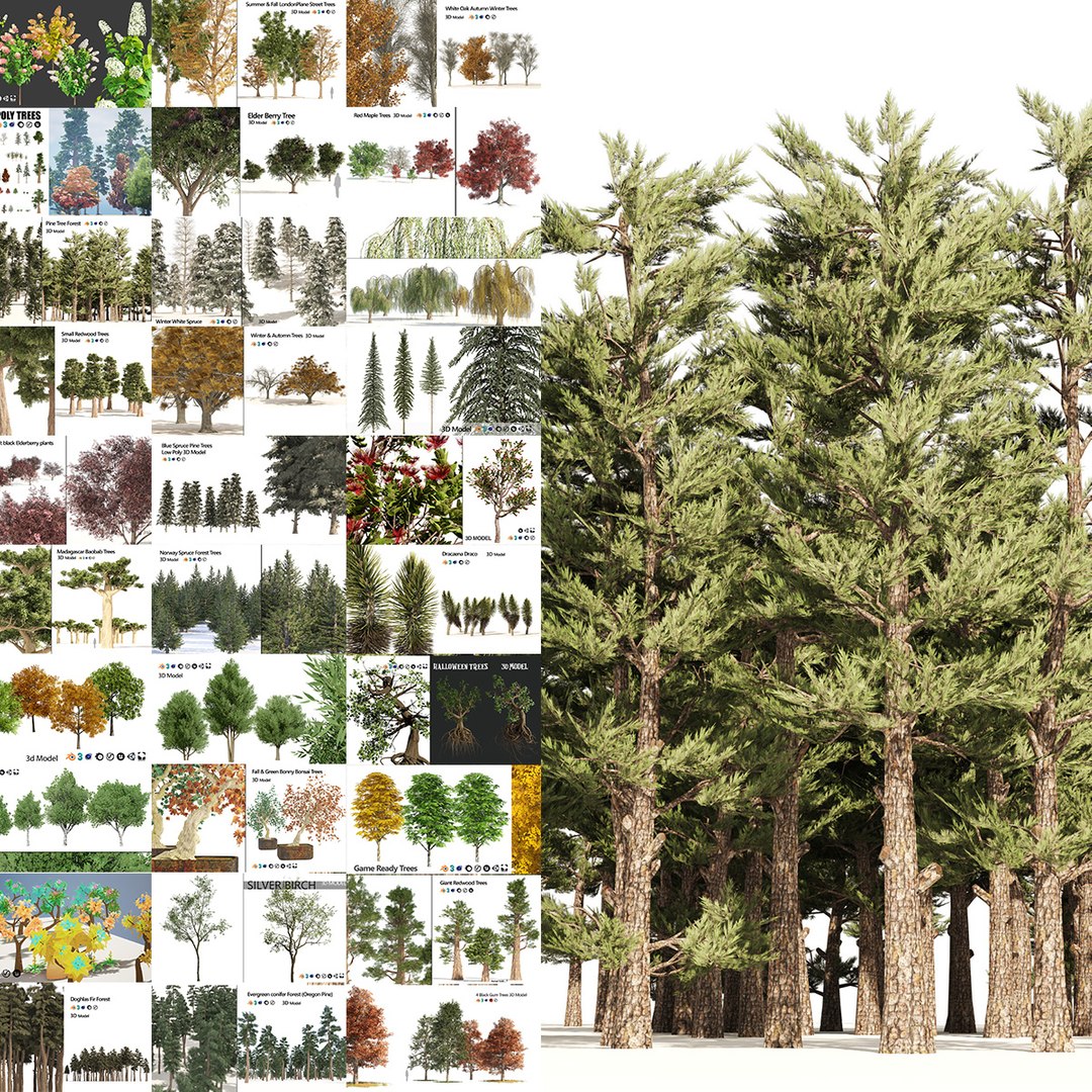 3D 120 Tree Type Collection https://p.turbosquid.com/ts-thumb/3I/mdQtPY/1z/00turbocovers02copy/jpg/1724092881/1920x1080/fit_q87/d46fa294dcd076cedab618ff9368b60f9e4dc830/00turbocovers02copy.jpg
