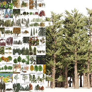 3D 120 Tree Type Collection