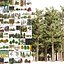 3D 120 Tree Type Collection
