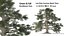 3D 120 Tree Type Collection