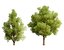 3D 120 Tree Type Collection