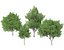 3D 120 Tree Type Collection