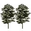 3D 120 Tree Type Collection