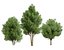 3D 120 Tree Type Collection