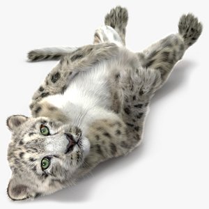 Snow Leopard Cub in Lying Playful Pose Fur for Cinema 4D 3D model