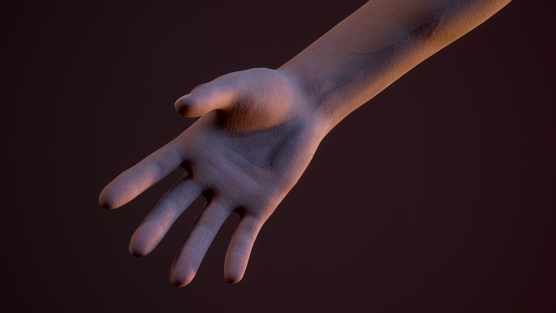 3D FPS First Person Arms - 01 model https://p.turbosquid.com/ts-thumb/3I/x0giF6/lc/sscreenshot019/png/1665400182/1920x1080/fit_q87/80b10e3de4697aefddafa2121dbcde688684d828/sscreenshot019.jpg