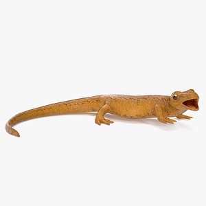Smooth Newt Rigged