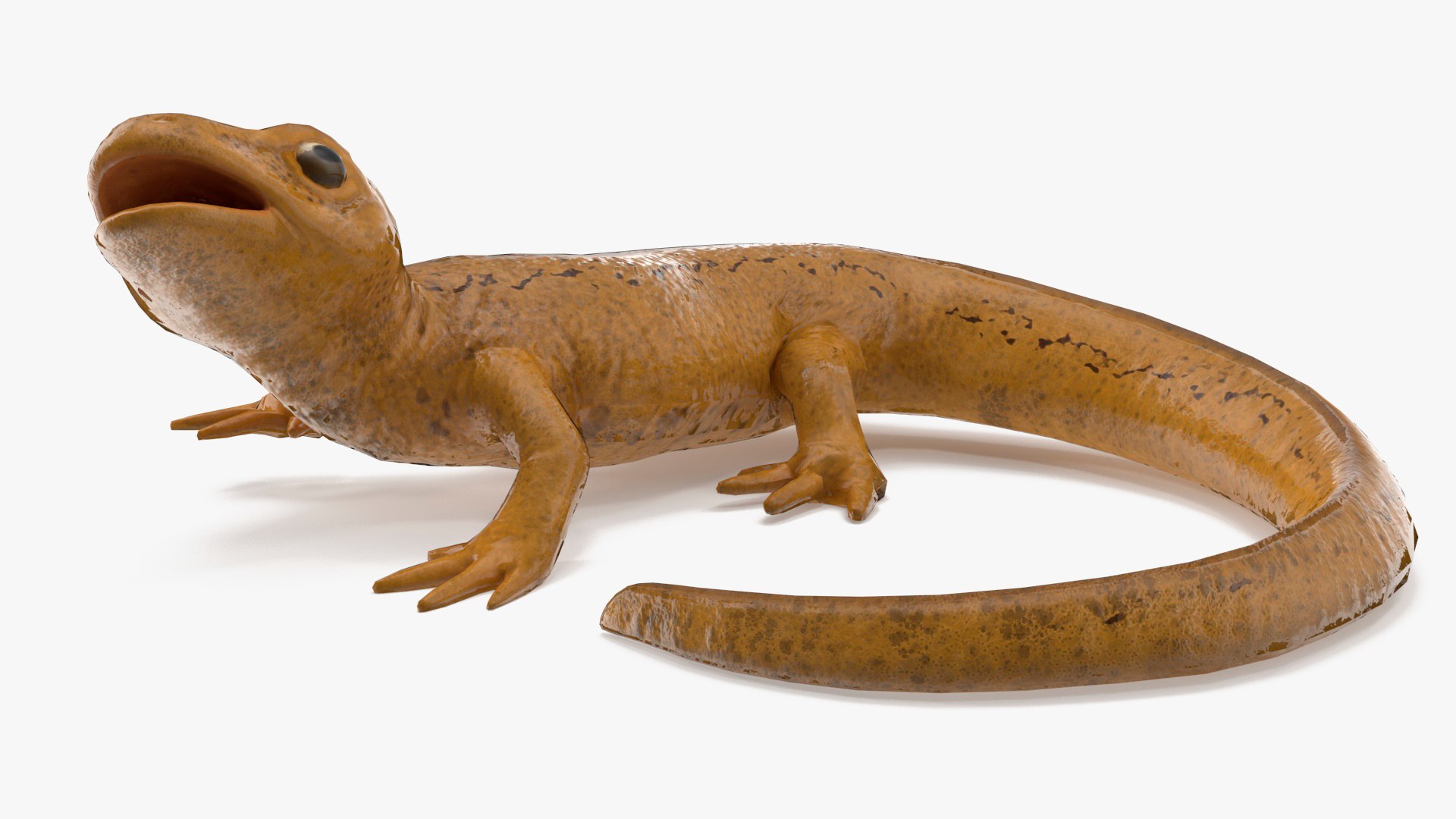 Smooth Newt Rigged 3D - TurboSquid 2144112