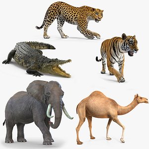 african animals rigged 2 3D model