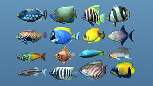 16 fish tropical 3d obj