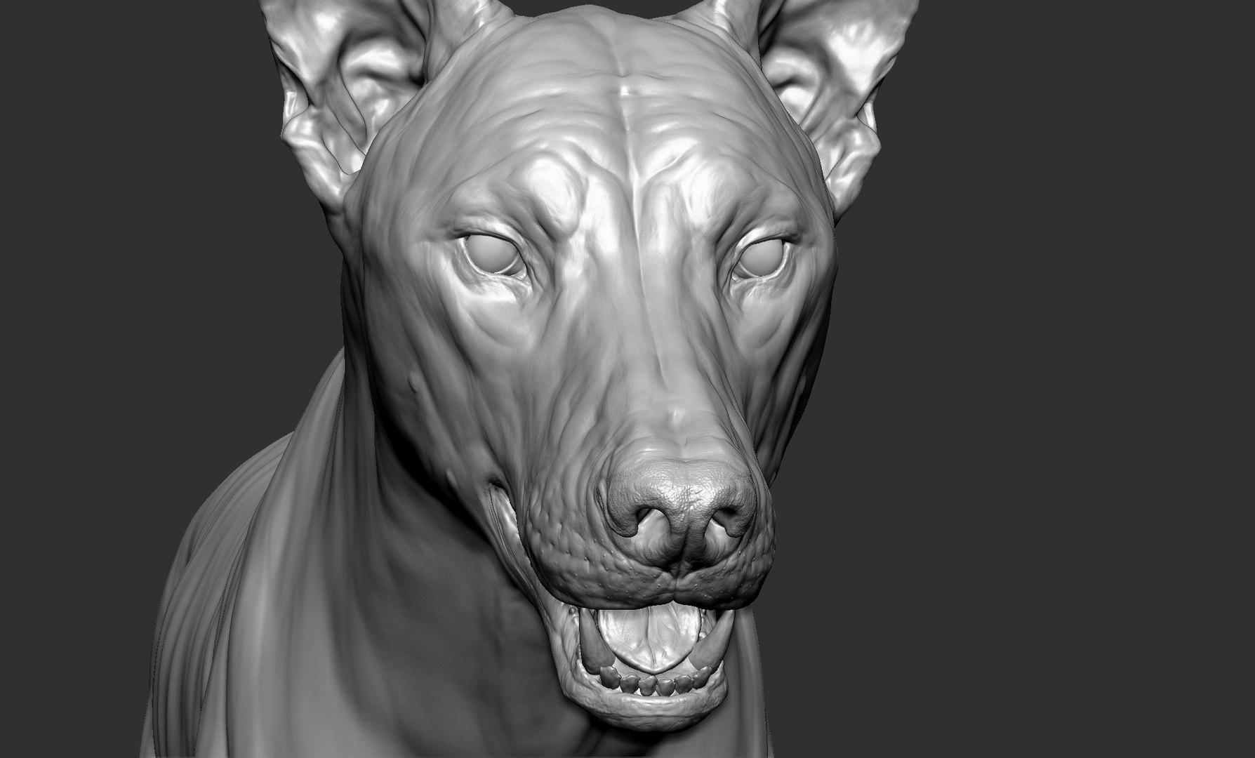 Wolf Vfx Muscle Simulation Wih Facial Expression Model Turbosquid 1909050