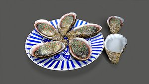 oyster 3D model