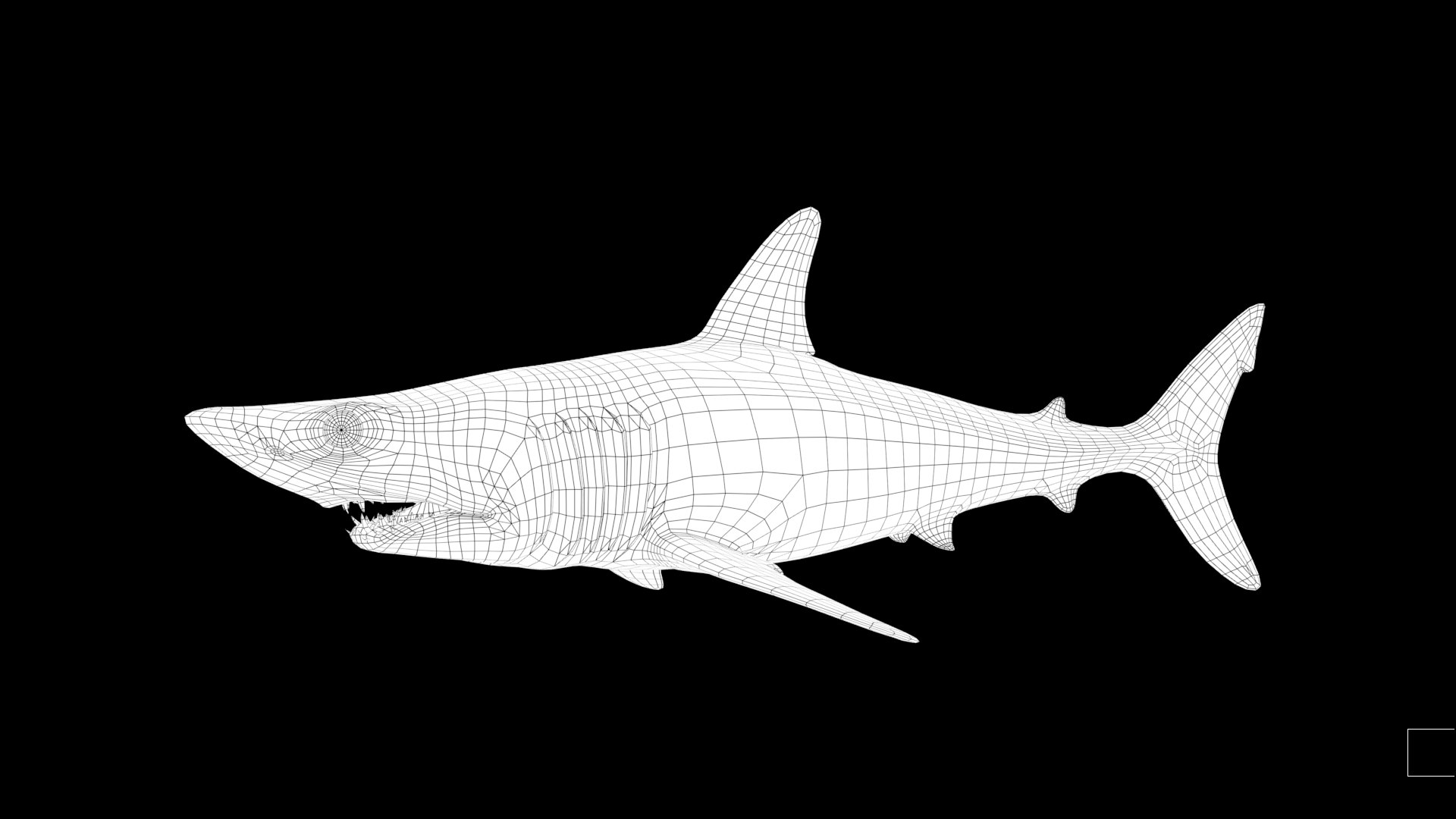 Mako Shark Model - TurboSquid 1812557