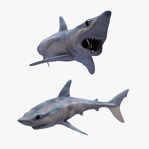 Mako shark model