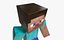 Steve Minecraft - Mixamo Animatable - Vray-Arnold 3D model