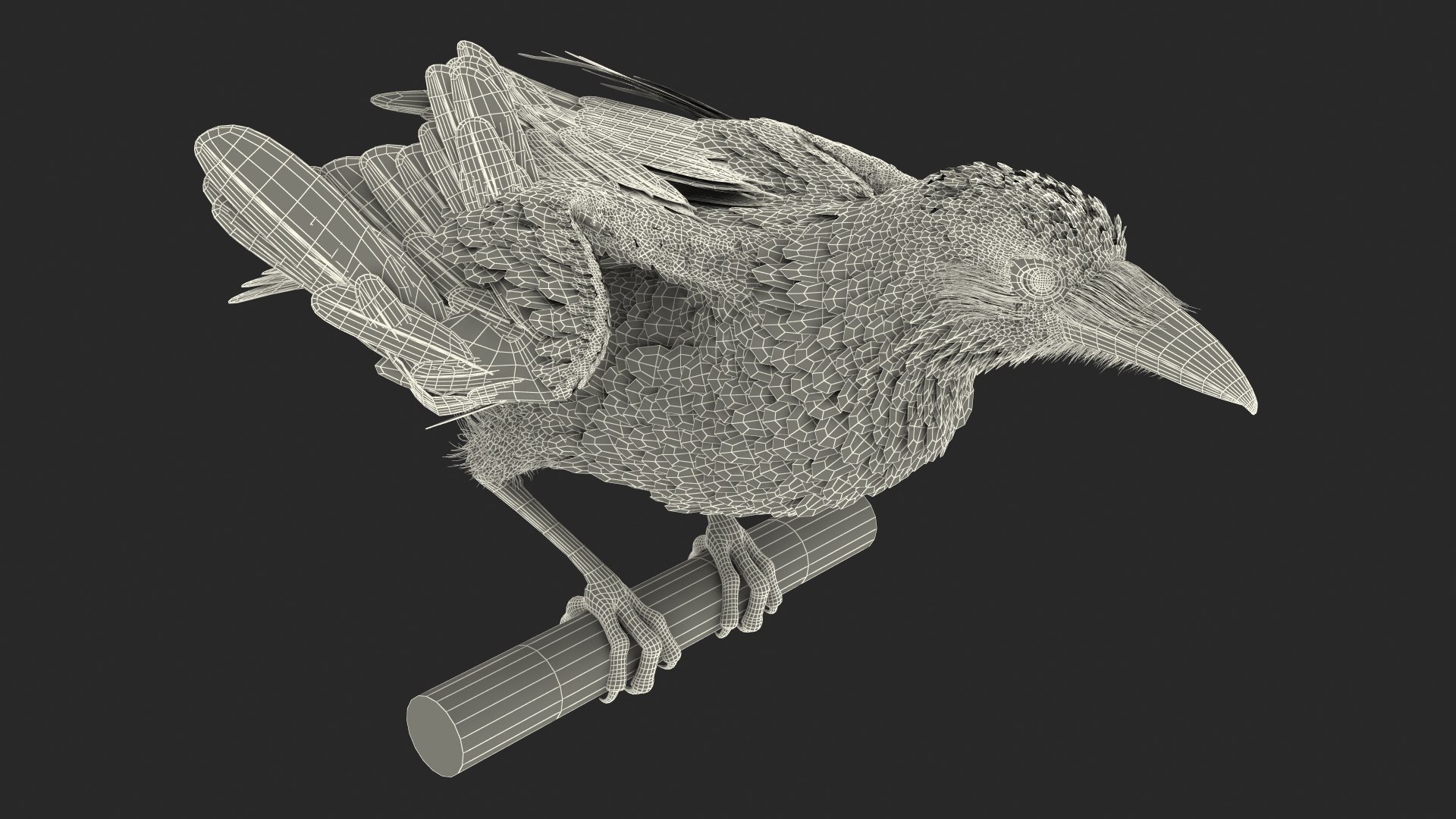 3D Raven Animated Takeoff Rigged model https://p.turbosquid.com/ts-thumb/3J/i7B8KH/5S/raven_animated_takeoff_rigged_022/jpg/1743409051/1920x1080/fit_q87/d7364ab147c454733da4de9b1becc6fb82bfdd39/raven_animated_takeoff_rigged_022.jpg