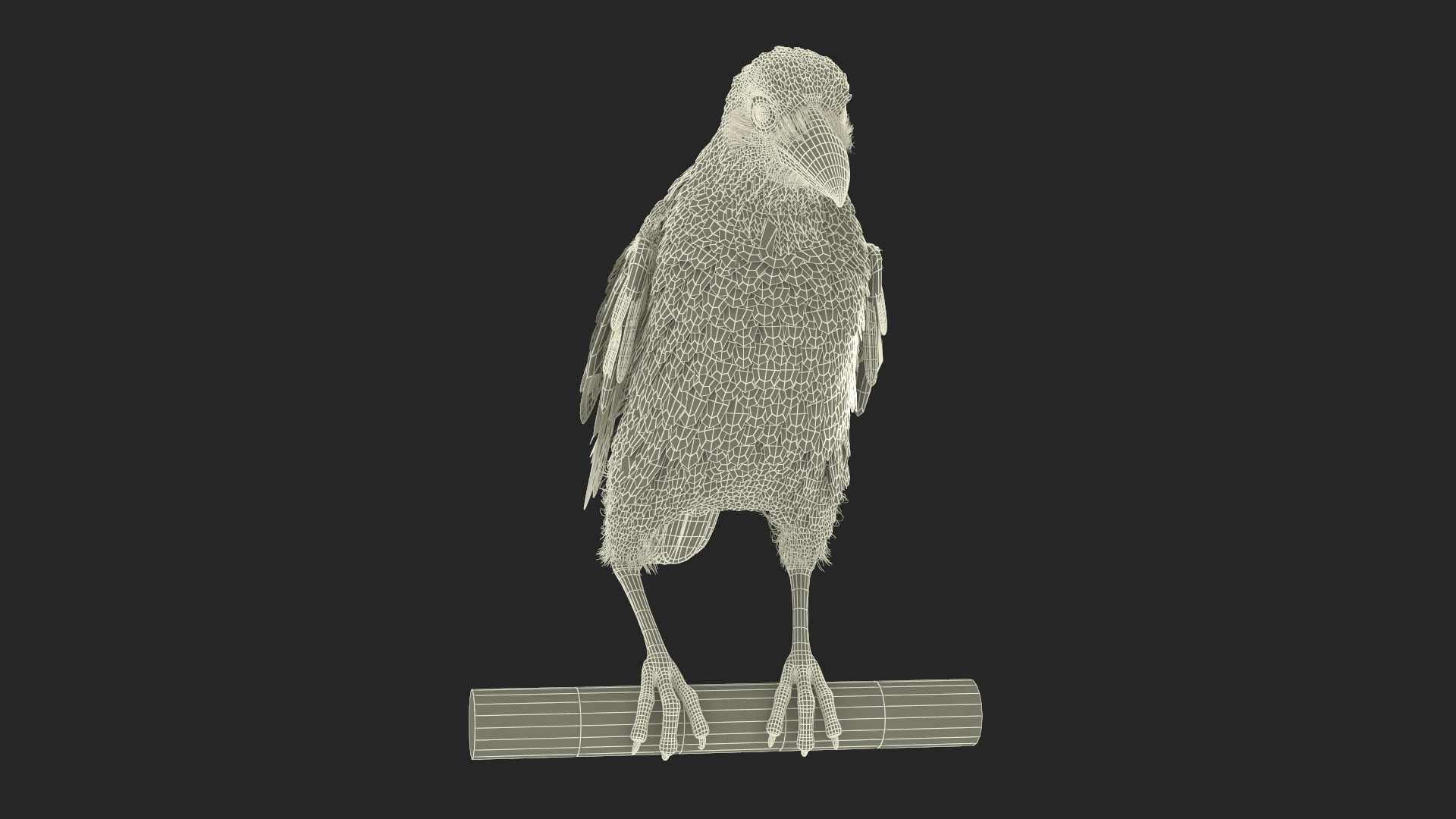 3D Raven Animated Takeoff Rigged model https://p.turbosquid.com/ts-thumb/3J/i7B8KH/5U/raven_animated_takeoff_rigged_361/jpg/1743408243/1920x1080/turn_fit_q99/b0323f1b906d840b4b4462133f9d30c8766dbbaf/raven_animated_takeoff_rigged_361-1.jpg