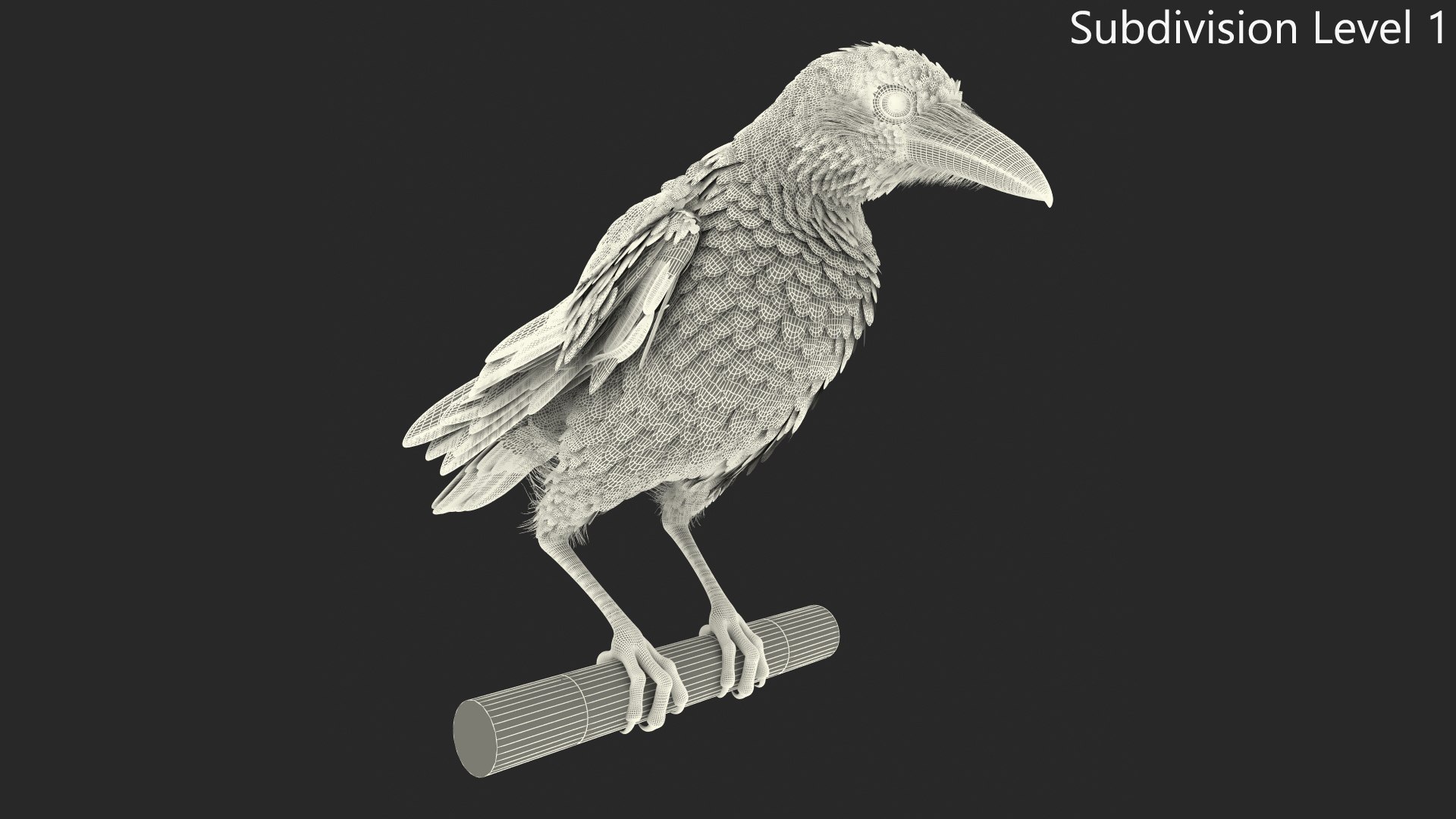 3D Raven Animated Takeoff Rigged model https://p.turbosquid.com/ts-thumb/3J/i7B8KH/RG/raven_animated_takeoff_rigged_017/jpg/1743409046/1920x1080/fit_q87/f4ed6d6cc1cc36dc8b9abf7c00c0315410a2c7e7/raven_animated_takeoff_rigged_017.jpg