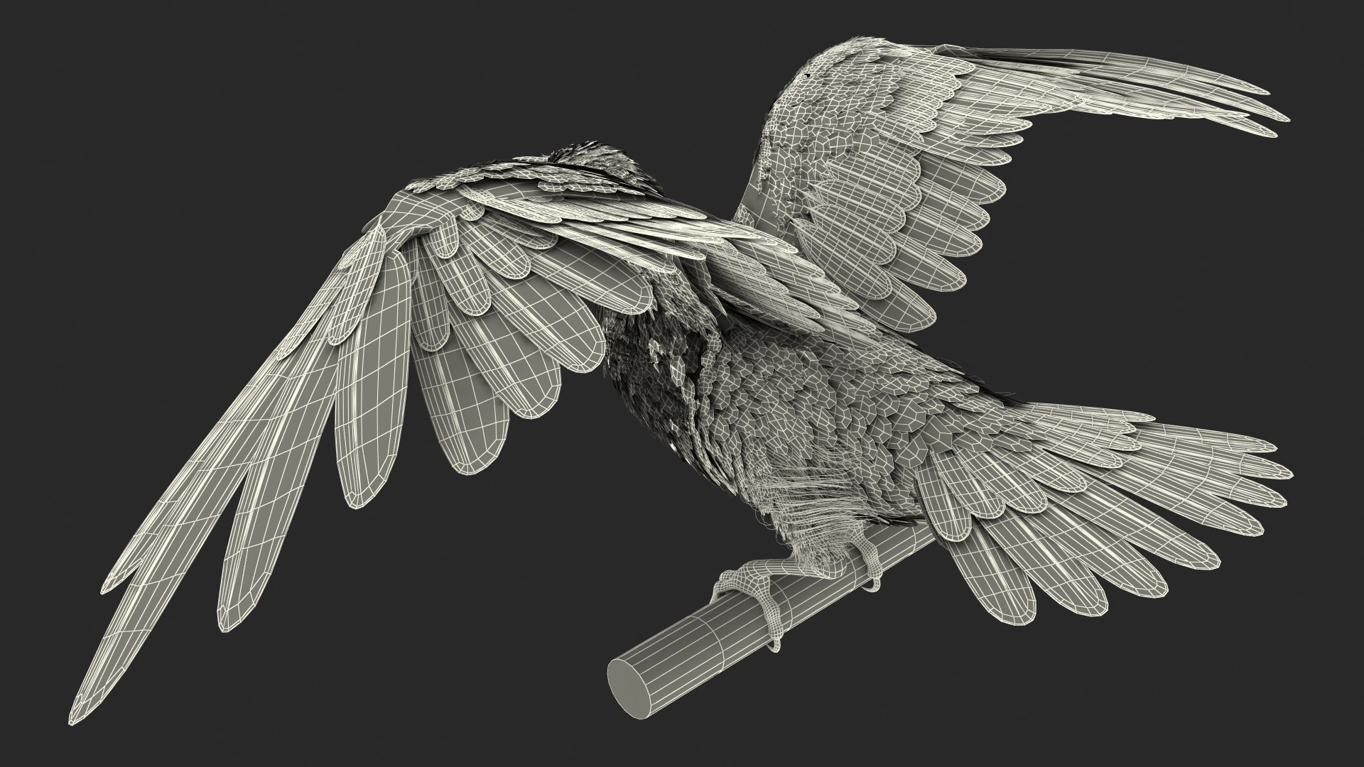 3D Raven Animated Takeoff Rigged model https://p.turbosquid.com/ts-thumb/3J/i7B8KH/Re/raven_animated_takeoff_rigged_021/jpg/1743409050/1920x1080/fit_q87/26d3cd0fc11e78d1b783d3225e81e8a845ac7504/raven_animated_takeoff_rigged_021.jpg